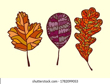 autumn leaves autumn background vecto