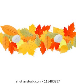 Autumn leaves background vector