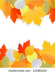 Autumn leaves background vector