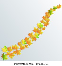autumn leaves background vector