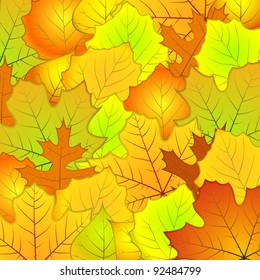 Autumn leaves background vector