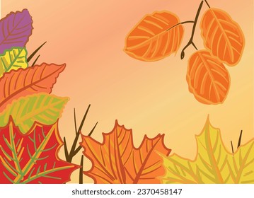 Autumn leaves background. Vector art illustratoin.