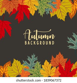 Autumn leaves background. vector banner