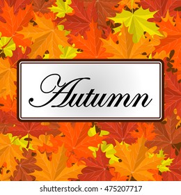 Autumn leaves background. Vector banner