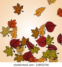 Autumn leaves background vector concept