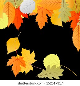 Autumn leaves background vector concept template
