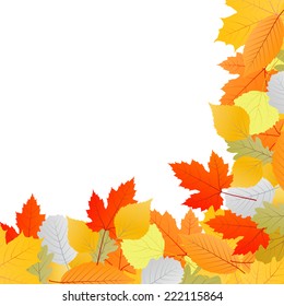 Autumn leaves background vector concept