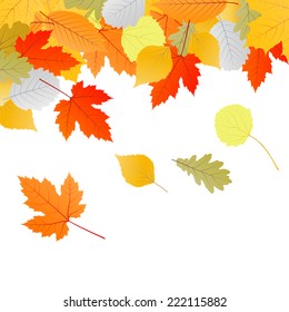 Autumn leaves background vector concept