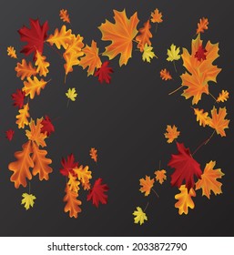 Autumn leaves background vector design