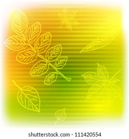 Autumn leaves background. Vector illustration