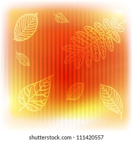 Autumn leaves background. Vector illustration