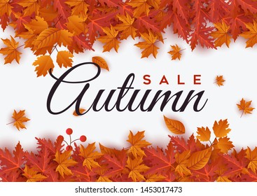 Autumn leaves background vector illustration