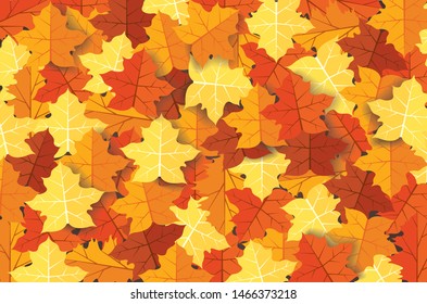 Autumn leaves background vector illustration EPS10