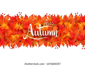 Autumn leaves background. vector illustration