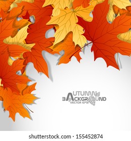 Autumn Leaves Background. Vector Illustration. Eps 10.