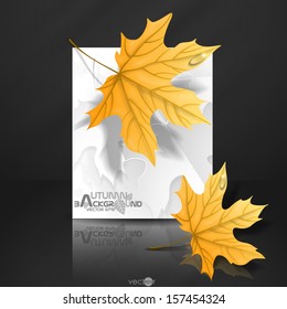 Autumn Leaves Background. Vector Illustration. Eps 10.