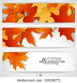 Autumn Leaves Background. Vector Illustration. Eps 10.