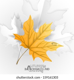 Autumn Leaves Background. Vector Illustration. Eps 10.