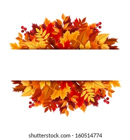 Autumn leaves background. Vector illustration.