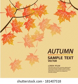 Autumn leaves background. Vector illustration.