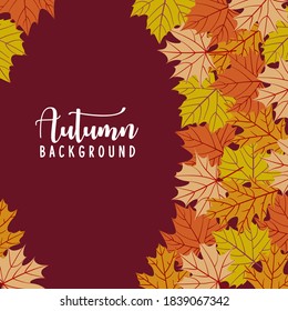 Autumn leaves background. Vector illustration.
