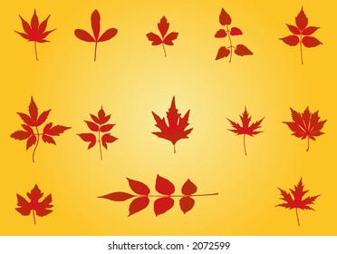 Autumn Leaves background - vector illustration