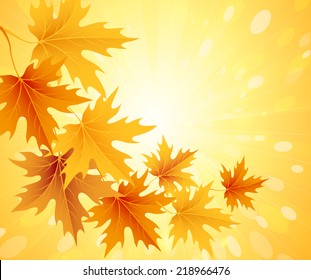 Autumn leaves background. Vector illustration EPS 10