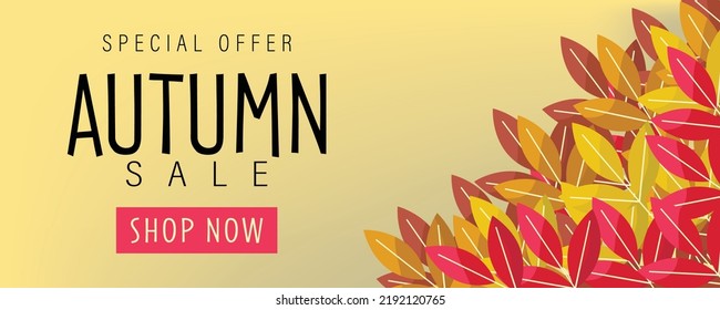 Autumn leaves background. vector illustration. Promotion sale banner of autumn season.