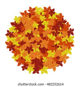 Autumn leaves background. Vector illustration. 
