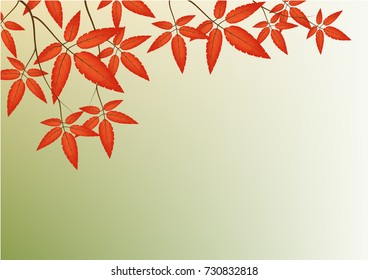 Autumn leaves background vector illustration 