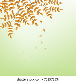 Autumn leaves background vector illustration for design 