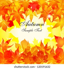 Autumn Leaves background / Vector autumn Leaves background / Realistic autumn maple Leaves background.