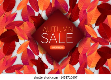 Autumn leaves background wallpaper. Fall season concept with a banner for text over it. Sale design template. Realistic vector illustration.