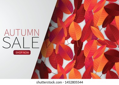 Autumn leaves background wallpaper. Fall season concept with a banner for text over it. Sale design template. Realistic vector illustration.