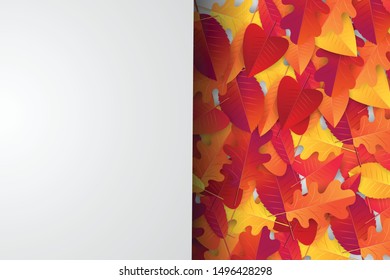 Autumn leaves background wallpaper. Fall season concept with a banner for text over it. Sale design template. Realistic vector illustration.