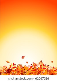 Autumn leaves background for your design