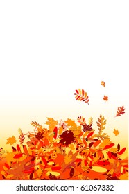 Autumn leaves background for your design