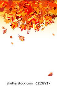 Autumn leaves background for your design