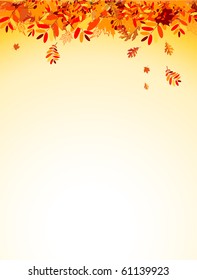 Autumn leaves background for your design