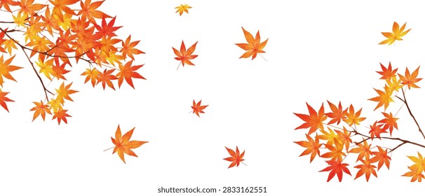 autumn leaves background-Stylish vector frame with beautiful red autumn leaves on a white background