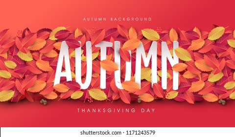 Autumn leaves background.thanksgiving day vector illustration