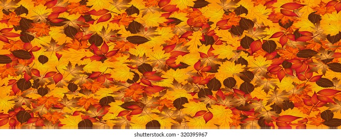 Autumn leaves banner