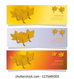 autumn leaves banner background with  falling leaves design