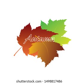 Autumn leaves banner. Colorful background.