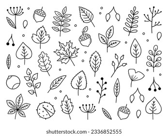 Herbstblätter und Beeren doodle Set. Hallo Herbstelemente: Blätter, Kräuter, Kastanien, Akkorn im Skizzenstil. handgezeichnete Vektorgrafik einzeln auf weißem Hintergrund