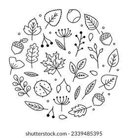 Juego de doodles de hojas y bayas de otoño. Hola elementos del otoño: hojas, hierbas, castaño, bellota en forma de boceto. Ilustración vectorial dibujada a mano aislada en fondo blanco