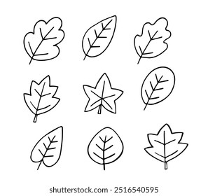 Autumn leaves and berries doodle set. Hello Autumn elements: leaves, herbs, chestnut, acorn in sketch style. Hand drawn vector illustration isolated on white background