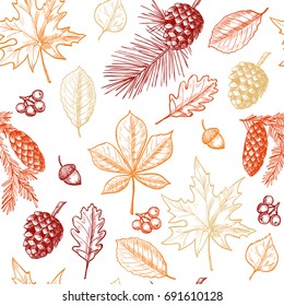 Autumn  leaves, berries, fir cones,  acorns.  Vector seamless pattern .Vintage style.