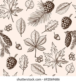 Autumn  leaves, berries, fir cones,  acorns.  Vector seamless pattern .Vintage style.