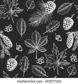 Autumn  leaves, berries, fir cones,  acorns.  Vector seamless pattern .Vintage style.